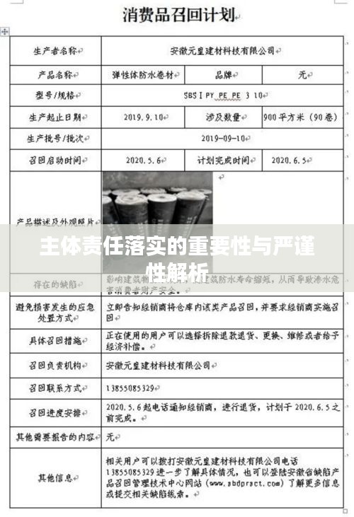 主体责任落实的重要性与严谨性解析