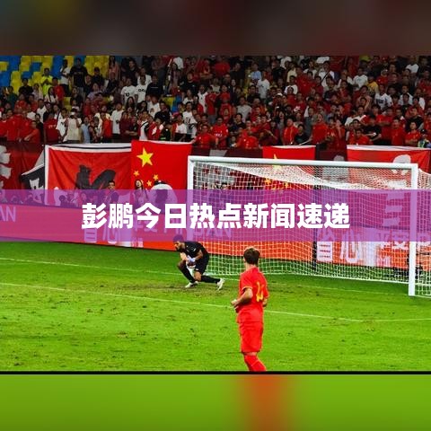 彭鹏今日热点新闻速递