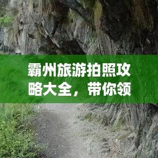 霸州旅游拍照攻略大全，带你领略独特风光！