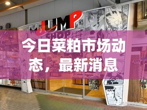 今日菜粕市场动态，最新消息一网打尽