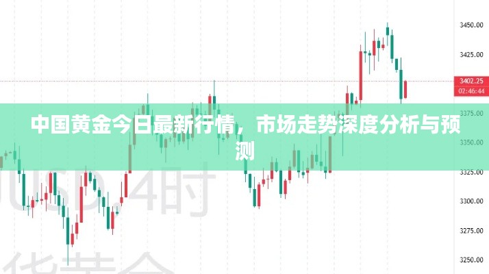 中国黄金今日最新行情，市场走势深度分析与预测
