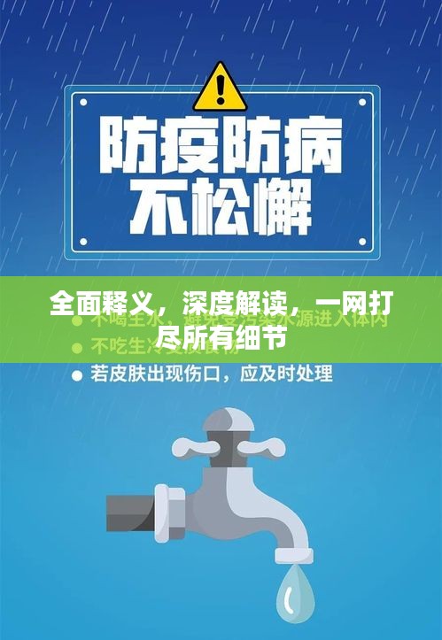 全面释义，深度解读，一网打尽所有细节