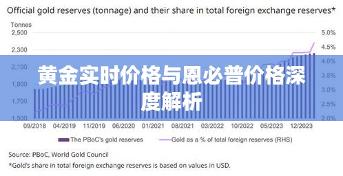 黄金实时价格与恩必普价格深度解析