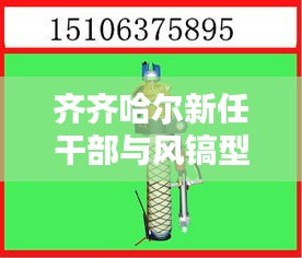 齐齐哈尔新任干部与风镐型号价格深度解析