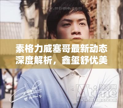 素格力威塞哥最新动态深度解析，鑫玺舒优美价格代理表全揭秘