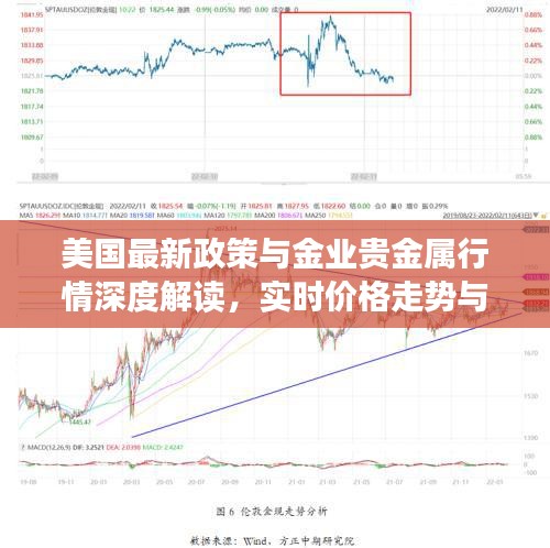 鲜花用途 第14页