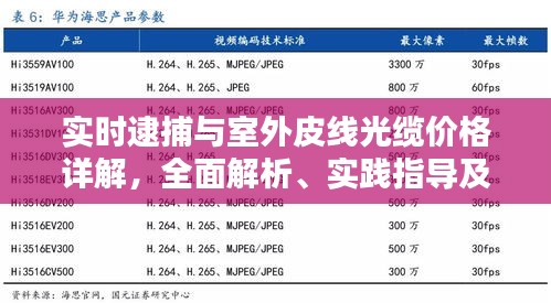 实时逮捕与室外皮线光缆价格详解，全面解析、实践指导及防范虚假宣传攻略