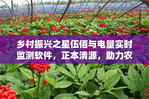 乡村振兴之星伍佰与电量实时监测软件，正本清源，助力农业打假与务实指导