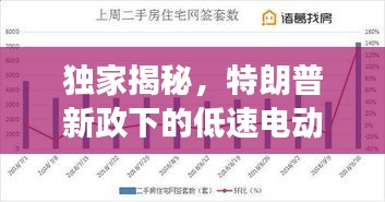 独家揭秘，特朗普新政下的低速电动车市场深度剖析与价格走势解读