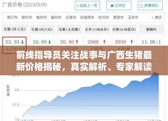 前线指导员关注战事与广西生猪最新价格揭秘，真实解析、专家解读及虚假宣传曝光