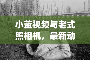 小蓝视频与老式照相机，最新动态与图片价格的综合解读，勇敢做自己！