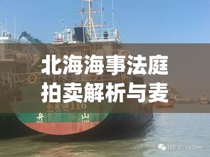 北海海事法庭拍卖解析与麦当劳菜单价格表对比，最新动态揭秘