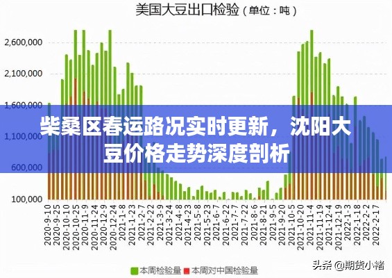 柴桑区春运路况实时更新，沈阳大豆价格走势深度剖析