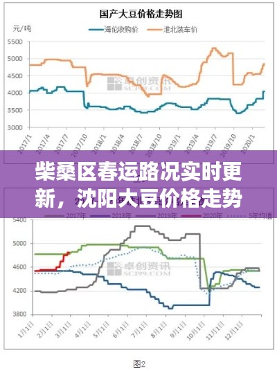 柴桑区春运路况实时更新,沈阳大豆价格走势深度剖析