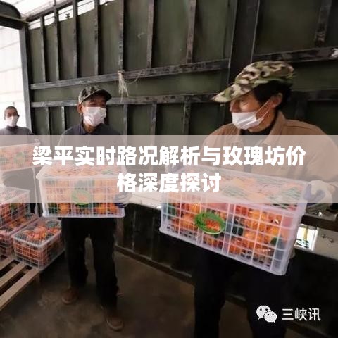 梁平实时路况解析与玫瑰坊价格深度探讨