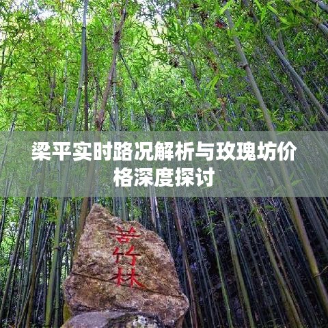 梁平实时路况解析与玫瑰坊价格深度探讨