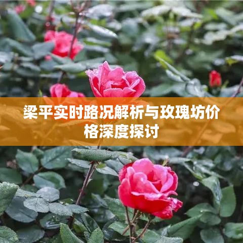 梁平实时路况解析与玫瑰坊价格深度探讨