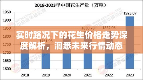 实时路况下的花生价格走势深度解析，洞悉未来行情动态