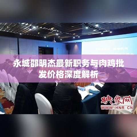 永城邵明杰最新职务与肉鸡批发价格深度解析