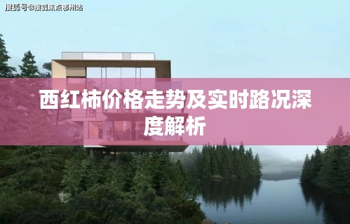 西红柿价格走势及实时路况深度解析