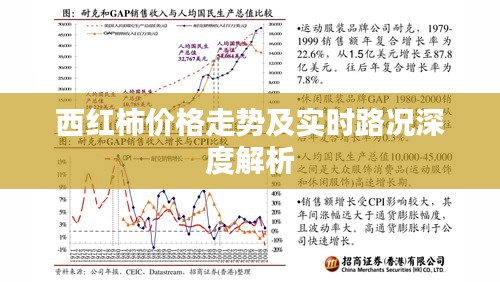 西红柿价格走势及实时路况深度解析