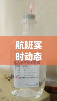 航班实时动态查询与碳酸氢钠注射液价格深度解读