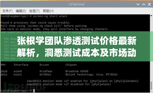 张根学团队渗透测试价格最新解析，洞悉测试成本及市场动态