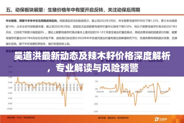 吴道洪最新动态及辣木籽价格深度解析，专业解读与风险预警