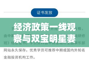 经济政策一线观察与双宝明星妻的解读，实时听歌数据深度剖析