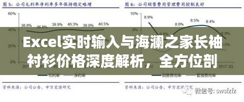 Excel实时输入与海澜之家长袖衬衫价格深度解析，全方位剖析数据背后的秘密！