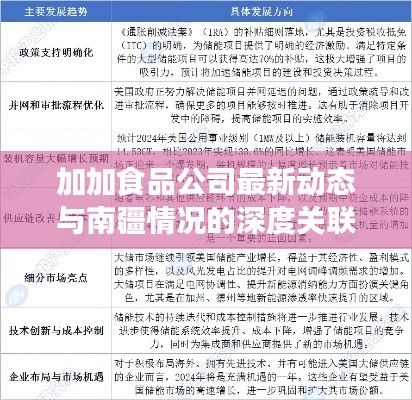 加加食品公司最新动态与南疆情况的深度关联解析