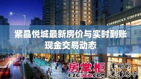 紫晶悦城最新房价与实时到账现金交易动态
