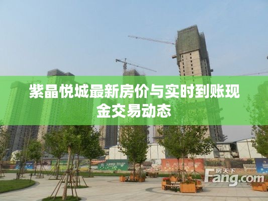 紫晶悦城最新房价与实时到账现金交易动态