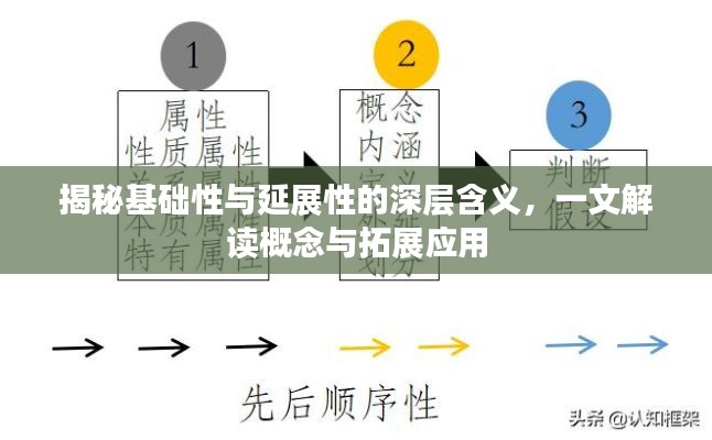 揭秘基础性与延展性的深层含义，一文解读概念与拓展应用