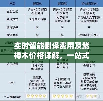 实时智能翻译费用及紫禅木价格详解，一站式了解费用构成