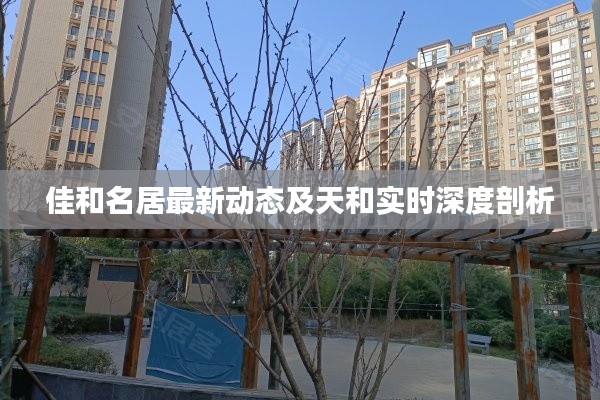 佳和名居最新动态及天和实时深度剖析