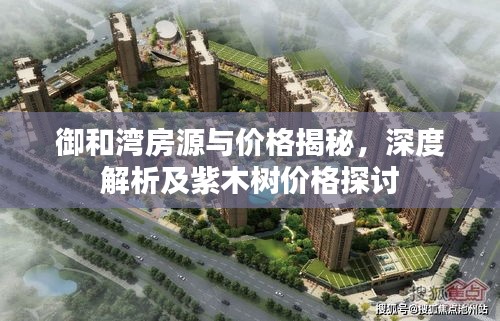 御和湾房源与价格揭秘,深度解析及紫木树价格探讨