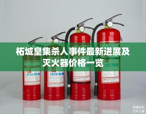 柘城皇集杀人事件最新进展及灭火器价格一览