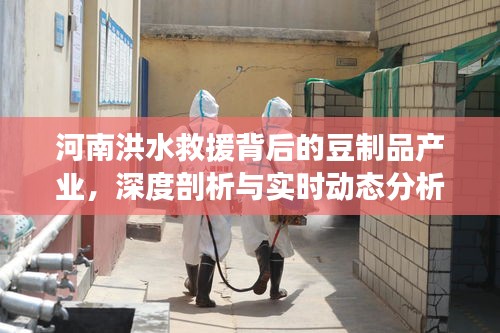 河南洪水救援背后的豆制品产业，深度剖析与实时动态分析