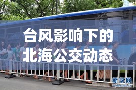台风影响下的北海公交动态,关注最新台风资讯与实时公交调整通知