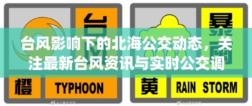 台风影响下的北海公交动态,关注最新台风资讯与实时公交调整通知