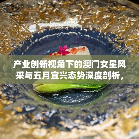 产业创新视角下的澳门女星风采与五月宜兴态势深度剖析，疫情实时大数据透视澳门明星与宜兴发展动态