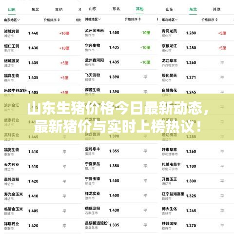 山东生猪价格今日最新动态，最新猪价与实时上榜热议！