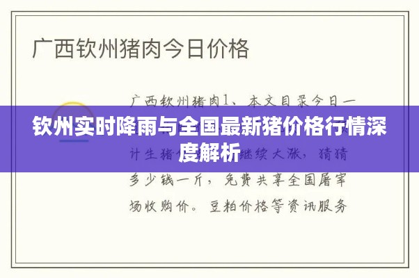 钦州实时降雨与全国最新猪价格行情深度解析