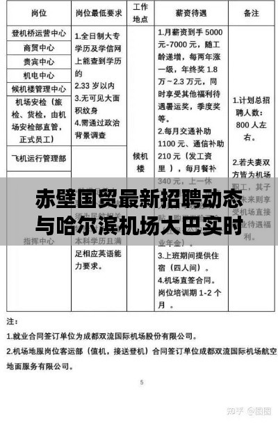 赤壁国贸最新招聘动态与哈尔滨机场大巴实时解析，一站式出行与职业发展的深度探讨