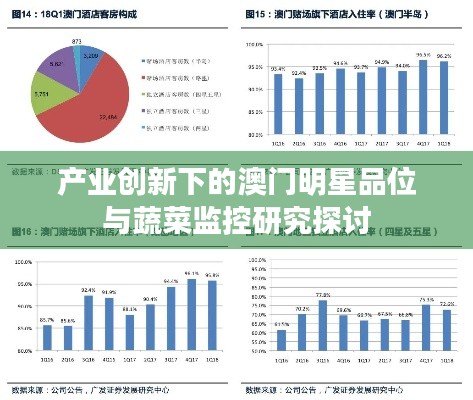 产业创新下的澳门明星品位与蔬菜监控研究探讨
