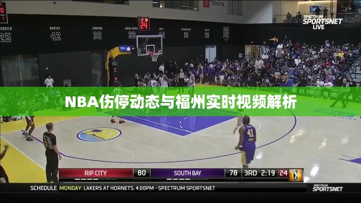 NBA伤停动态与福州实时视频解析