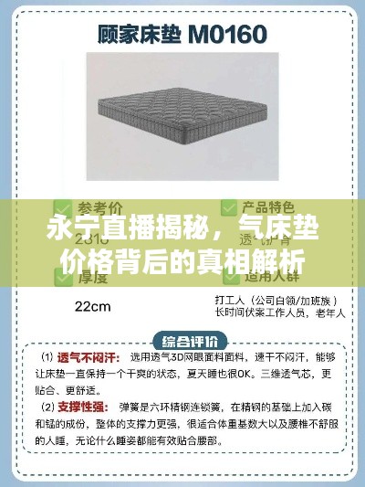 永宁直播揭秘,气床垫价格背后的真相解析