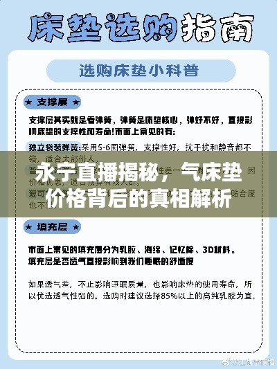 永宁直播揭秘，气床垫价格背后的真相解析