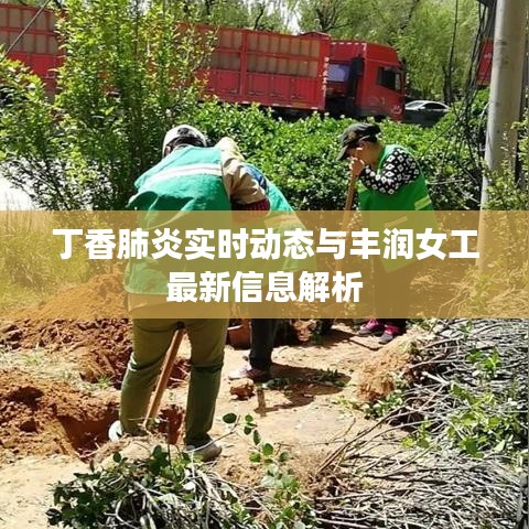 丁香肺炎实时动态与丰润女工最新信息解析